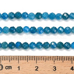 Natural Apatite Beads Strands&nbsp;G-Z106-A01-4mm