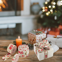 3Pcs 3 Styles Christmas Theme Polyester Ribbons&nbsp;OCOR-BC0005-41B