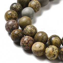 Natural Dendritic Jasper Beads Strands&nbsp;G-D481-16
