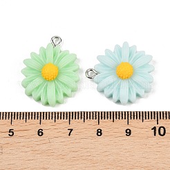 10Pcs Opaque Resin Pendants&nbsp;RESI-L051-01P