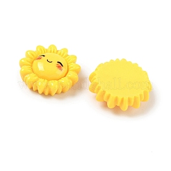 Opaque Resin Cabochons&nbsp;CRES-I048-01