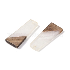 Resin & Wood Pendants&nbsp;WOOD-F015-04D