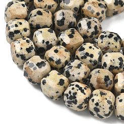 Natural Dalmatian Jasper Beads Strands&nbsp;G-C267-A14
