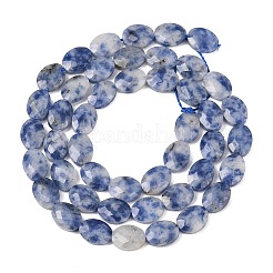 Natural Blue Spot Jasper Beads Strands&nbsp;G-H349-A01-06