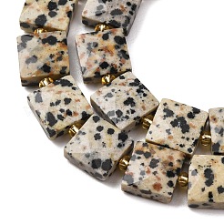 Natural Dalmatian Jasper Beads Strands&nbsp;G-F839-A19-01