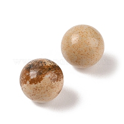 Natural Picture Jasper No Hole Sphere Beads&nbsp;G-K353-04A-15