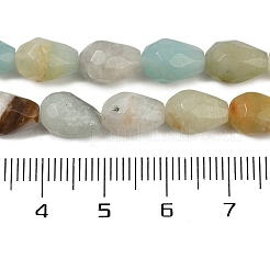 Natural Amazonite Beads Strands&nbsp;G-P520-B10-01A