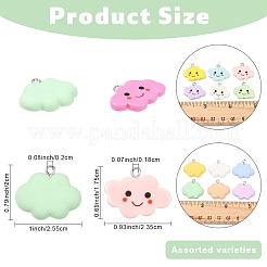 30Pcs Opaque Resin Pendants&nbsp;RESI-YW0005-31
