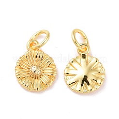 Brass Charms&nbsp;KK-G418-28G