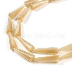 Natural Trochus Shell Beads Strands&nbsp;BSHE-G036-04