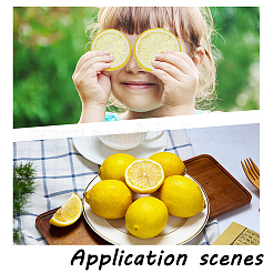 22Pcs 3 Styles Plastic Simulated Lemon&nbsp;DJEW-AR0001-15B
