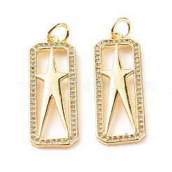 Brass Micro Pave Clear Cubic Zirconia Pendants&nbsp;ZIRC-P094-05G-RS