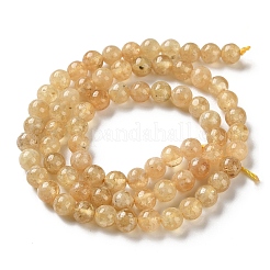 Natural Yellow Garnet Beads Strands&nbsp;G-Z129-C01-6mm-02