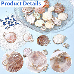 32Pcs 8 Styles Electroplated Natural Mixed Shell Pendants&nbsp;SSHEL-SC0001-62C