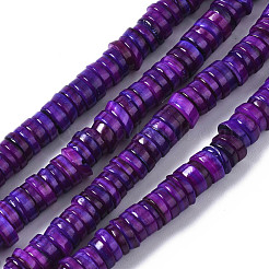 Natural Freshwater Shell Beads Strands&nbsp;SHEL-S278-025