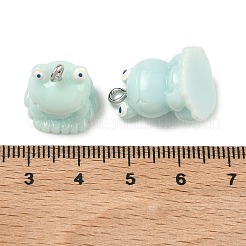 Opaque Resin Pendants&nbsp;RESI-A051-01P-10