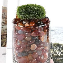 Dyed & Heated Natural Agate Beads&nbsp;G-J402-03B-01