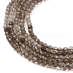 Natural Smoky Quartz Beads Strands&nbsp;G-E608-A04