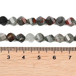 Natural African Bloodstone Beads Strands&nbsp;G-P611-C31-01