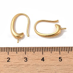 Rack Plating Brass Earring Hooks&nbsp;KK-G480-09G