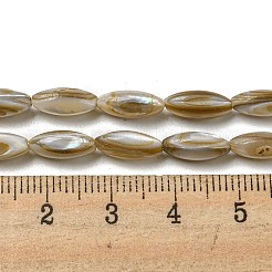 Natural Freshwater Shell Beads Strands&nbsp;SHEL-C005-04