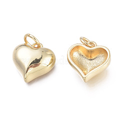 Brass Charms&nbsp;KK-I673-19G