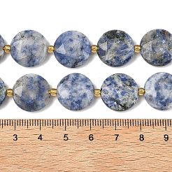 Natural Blue Spot Jasper Beads Strands&nbsp;G-A292-A10-01