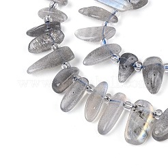 Natural Grey Moonstone Beads Strands&nbsp;G-Z091-A42