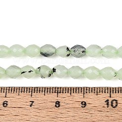 Natural Prehnite Beads Strands&nbsp;G-T142-82