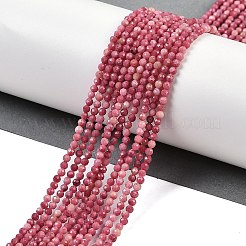 Natural Rhodonite Beads Strands&nbsp;G-P553-G06-01
