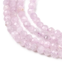 Natural Kunzite Beads Strands&nbsp;G-P603-C-2mm-05