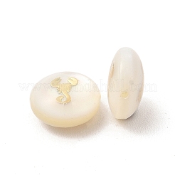 Natural Freshwater Shell Beads&nbsp;BSHE-E026-02