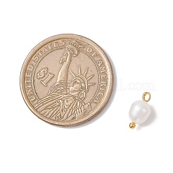 Natural Cultured Freshwater Pearl Rice Charms&nbsp;PALLOY-JF04187-02
