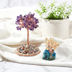 2Pcs 2 Style Money Tree Display Decorations&nbsp;DJEW-FH0001-05