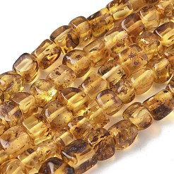 Natural Amber Beads Strands&nbsp;G-L095-E01-06