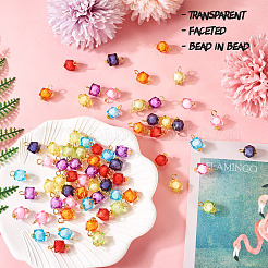 80Pcs 8 Colors Transparent Acrylic Charms&nbsp;FIND-TA0003-96