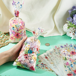 100Pcs Plastic Cookie Candy Packaging Bags&nbsp;ABAG-TA0002-07B