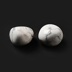 Natural Howlite Beads&nbsp;G-G979-A04