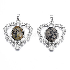 Natural Dalmatian Jasper Pendants&nbsp;G-S274-12N