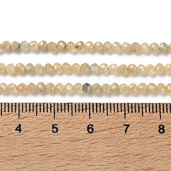 Natural Yellow Garnet Beads Strands&nbsp;G-Z129-B01-3mm