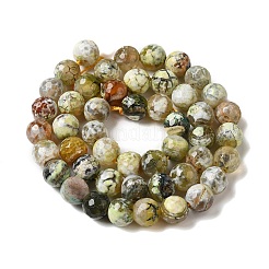 Dyed & Heated Natural Fire Crackle Agate Beads Strands&nbsp;G-P539-C01-03