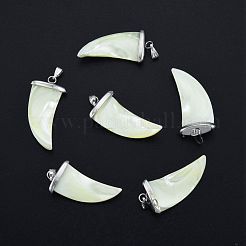 Natural Trochid Shell/Trochus Shell Pendants&nbsp;SSHEL-G024-06P