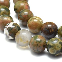 Natural Rhyolite Jasper Beads Strands&nbsp;G-F674-03AB-8mm