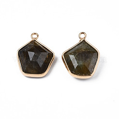 Natural Labradorite Pendants&nbsp;G-S359-381