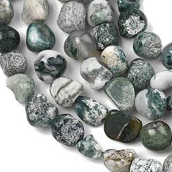 Natural Tree Agate Beads Strands&nbsp;G-D362-A01