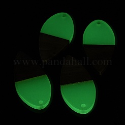 Luminous Glow in the Dark Wood & Resin Pendant&nbsp;WOOD-H104-04