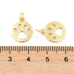 Rack Plating Brass Pendants&nbsp;KK-P269-13G