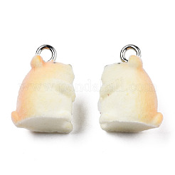 Flocky Resin Pendants&nbsp;RESI-N032-07