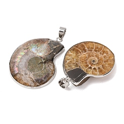 Fossil Pendants&nbsp;X-G-D051-1