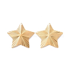 304 Stainless Steel Pendants&nbsp;STAS-A061-06G